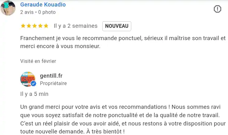 Avis client google