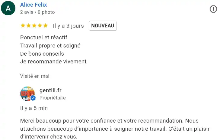 Avis client google