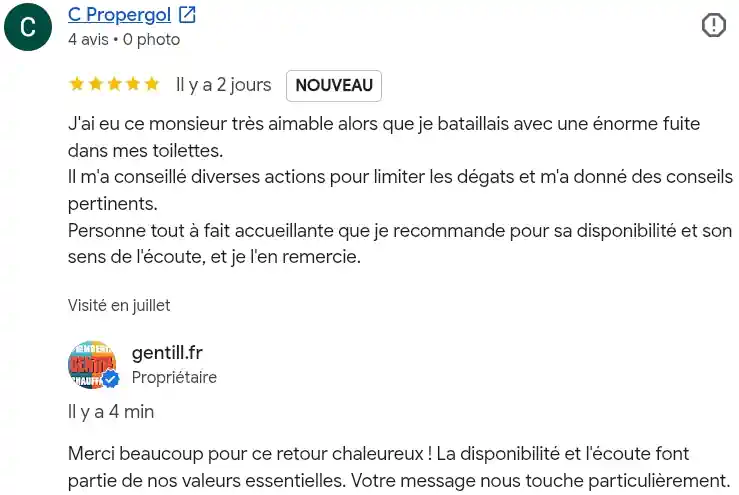 Avis client google