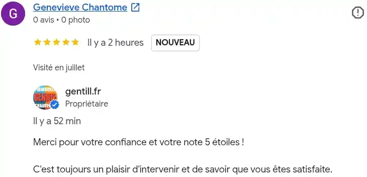 Avis client google