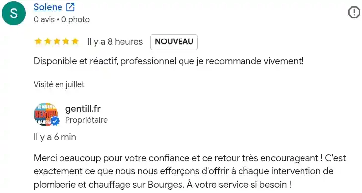 Avis client google
