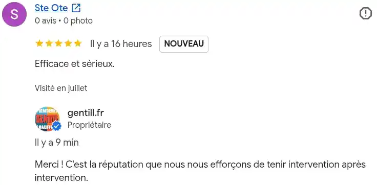 Avis client google