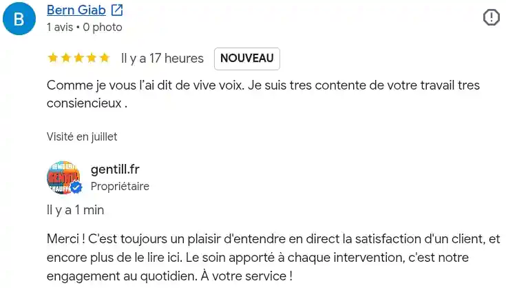 Avis client google