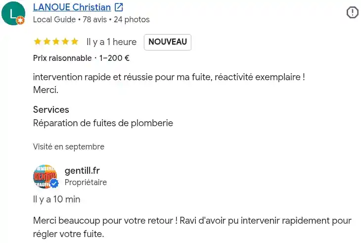 Avis client google