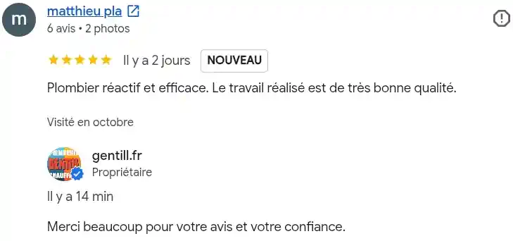 Avis client google